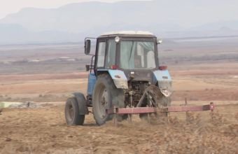 Naxçıvanda 1 128 hektarda yazlıq əkin başa çatdırılıb -