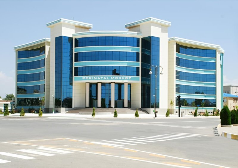 Naxçıvanda ana doğuşdan sonra ölüb