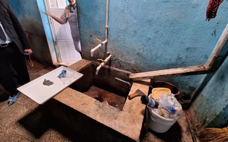 Naxçıvanda iki qida obyektində nöqsanlar aşkar edilib -