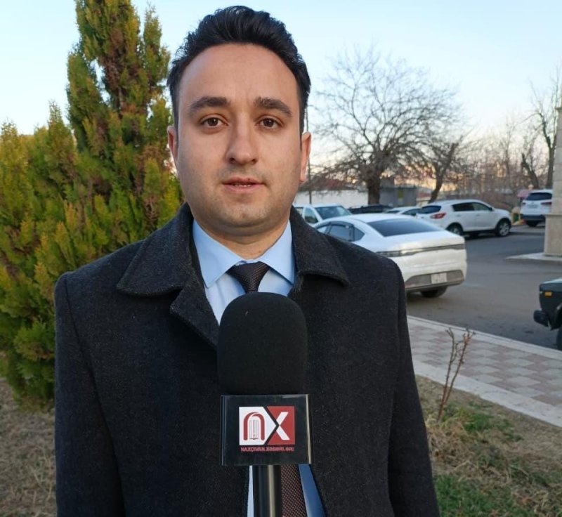 Naxçıvanda indiyədək ümumilikdə 590 ağac inventarlaşdırılaraq nömrələnib