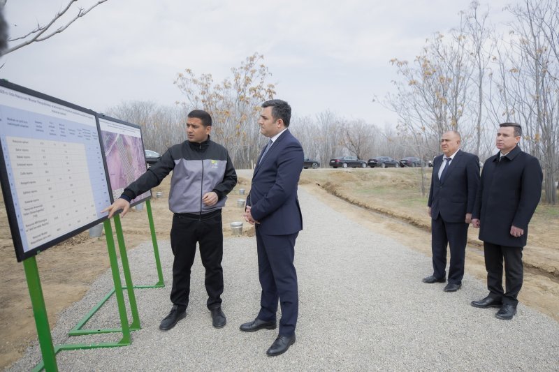 Naxçıvanda “Şəhərsalma və Memarlıq İli” çərçivəsində ağacəkmə aksiyası keçirilib -