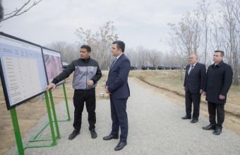 Naxçıvanda “Şəhərsalma və Memarlıq İli” çərçivəsində ağacəkmə aksiyası keçirilib -