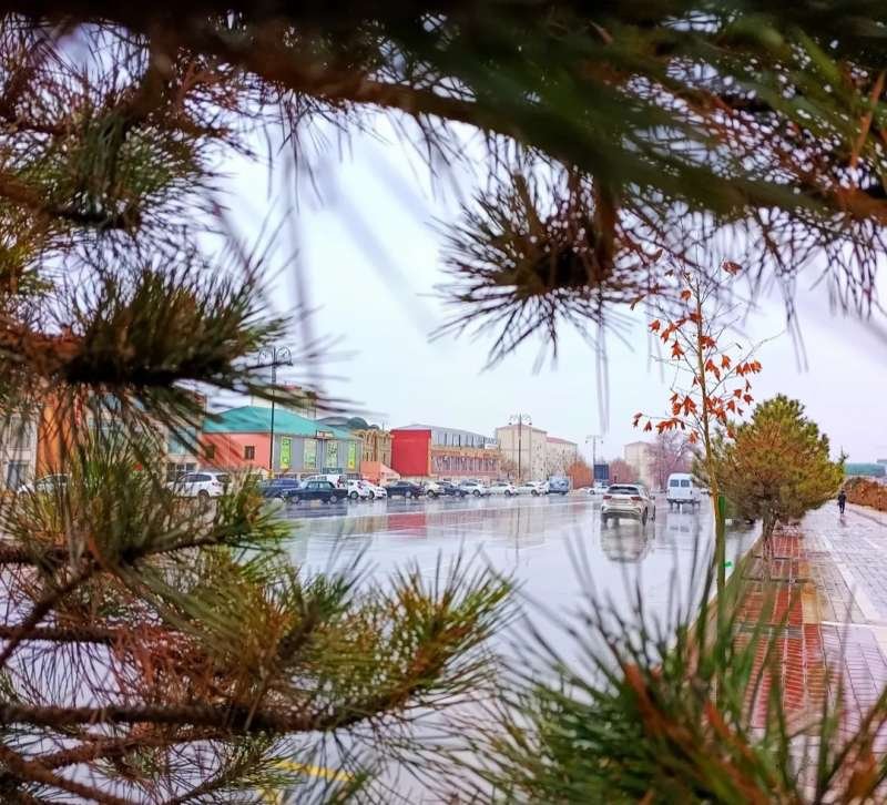 Naxçıvanda yağıntılı hava şəraiti davam edir