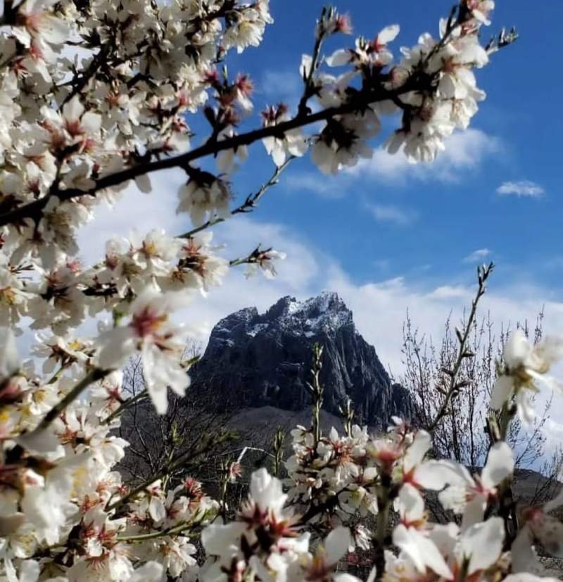 Naxçıvanda yağışlı hava müşahidə olunur