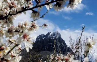 Naxçıvanda yağışlı hava müşahidə olunur