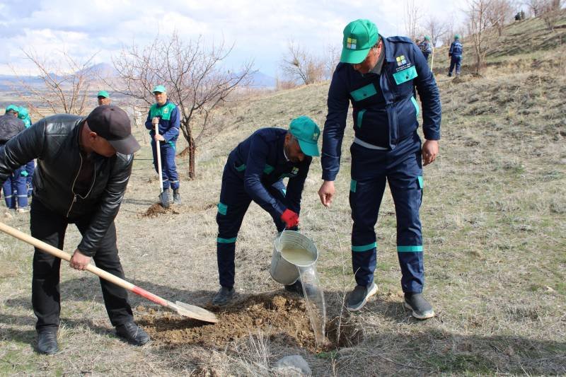 Naxçıvanda yaşıllıqlara aqrotexniki qulluq işləri davam etdirilir -