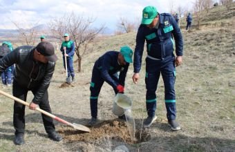 Naxçıvanda yaşıllıqlara aqrotexniki qulluq işləri davam etdirilir -