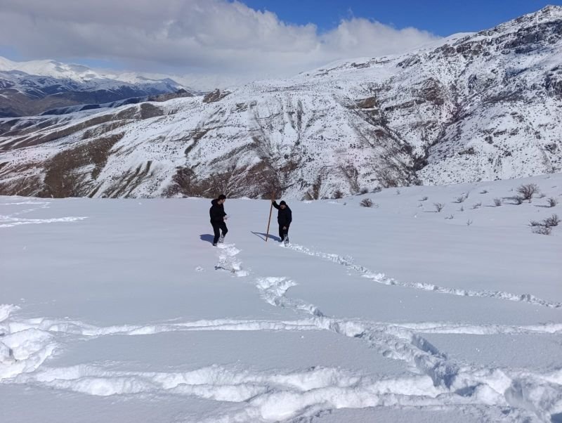 Naxçıvanın dağlıq ərazilərində qarölçmə işlərinə başlanılıb