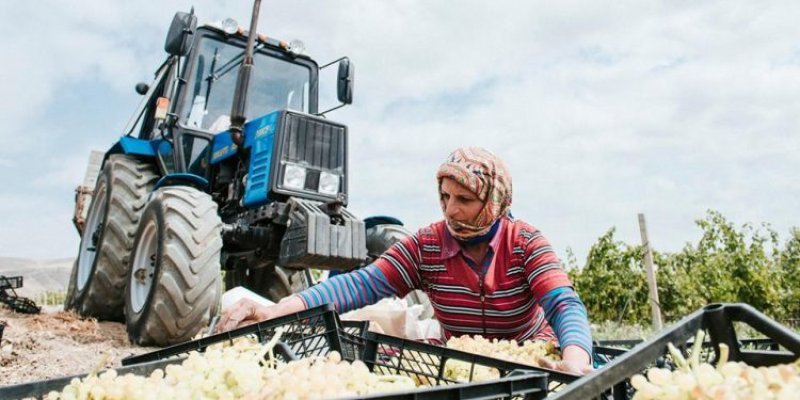 Ötən il Azərbaycanda 12 minə yaxın qadın peşə hazırlığına cəlb edilib
