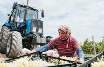 Ötən il Azərbaycanda 12 minə yaxın qadın peşə hazırlığına cəlb edilib