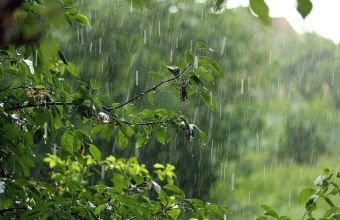 Rayonlarda yağıntı intensivləşəcək -