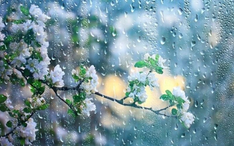 Sabah bəzi rayonlarda şimşək çaxacaq, dolu düşəcək -