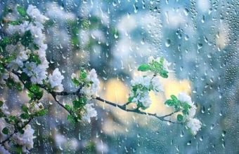 Sabah bəzi rayonlarda şimşək çaxacaq, dolu düşəcək -