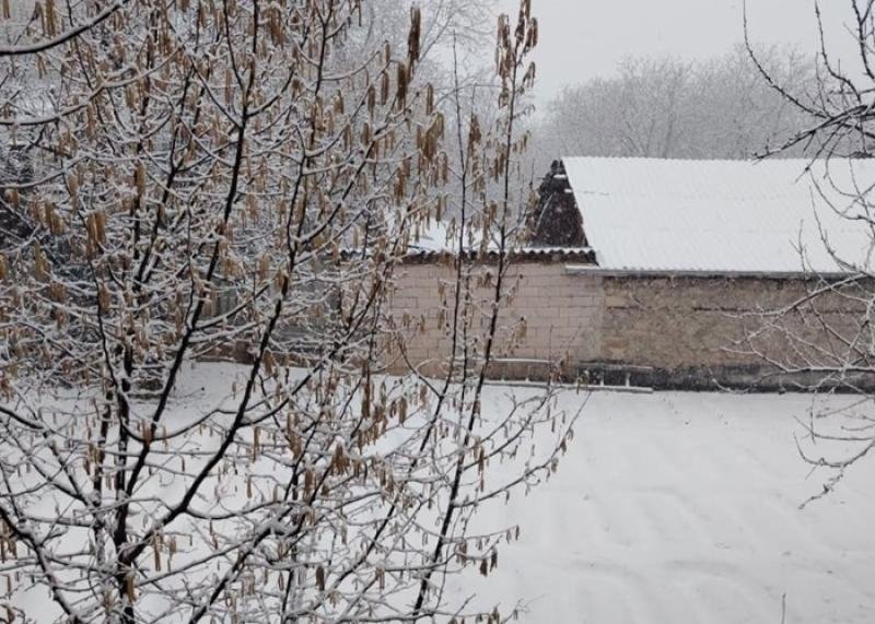 Şahbuzda fevralda qar örtüyünün hündürlüyü 54 sm-ə çatıb