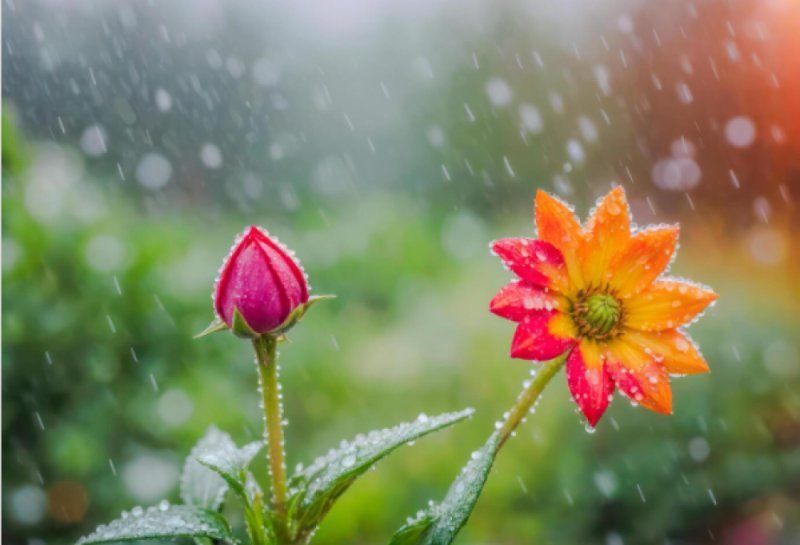 Aprelin ilk ongünlüyündə hava şəraiti qeyri-sabit olacaq