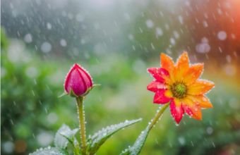 Aprelin ilk ongünlüyündə hava şəraiti qeyri-sabit olacaq