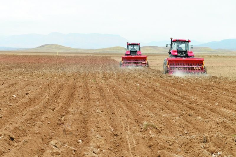 Azərbaycanda aqrar sektor böyüyüb