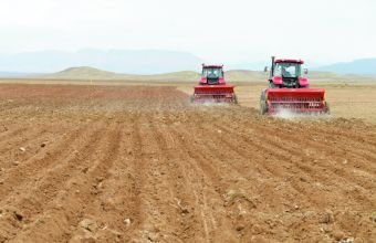 Azərbaycanda aqrar sektor böyüyüb