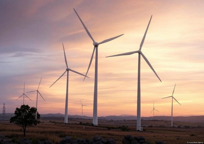 Azərbaycanda külək enerjisi istehsalı 26 % artıb