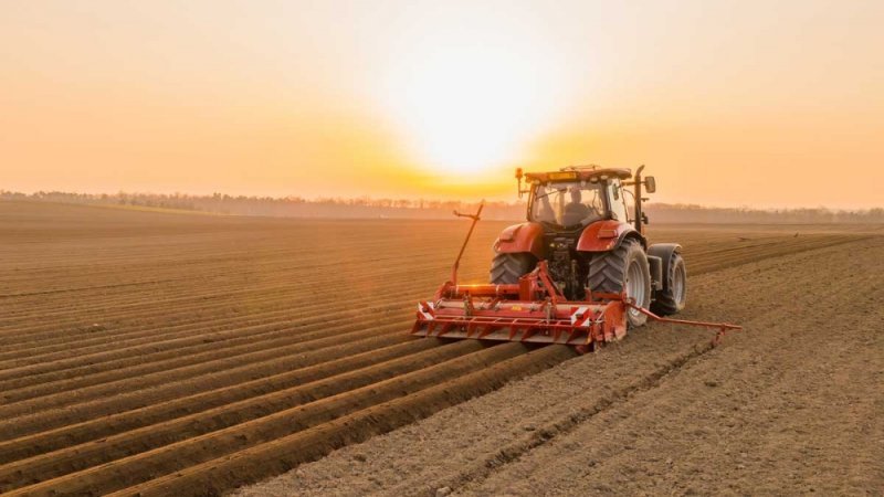 Azərbaycanda payızlıq əkinlərə görə subsidiya alanların sayı 278 minə çatıb