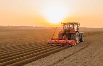 Azərbaycanda payızlıq əkinlərə görə subsidiya alanların sayı 278 minə çatıb