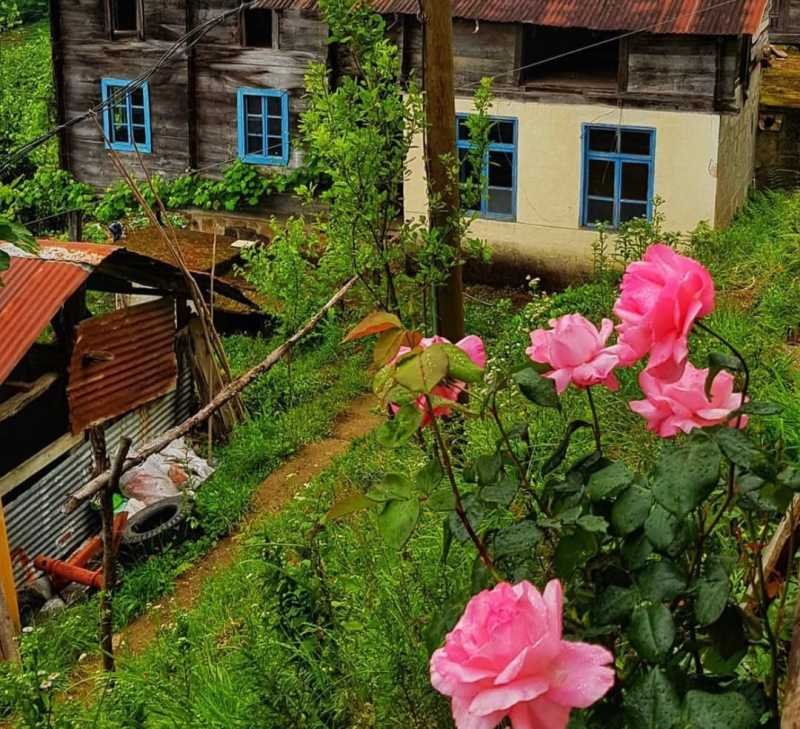 Bəzi yerlərdə yağıntı intensivləşəcək -