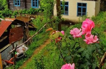 Bəzi yerlərdə yağıntı intensivləşəcək -