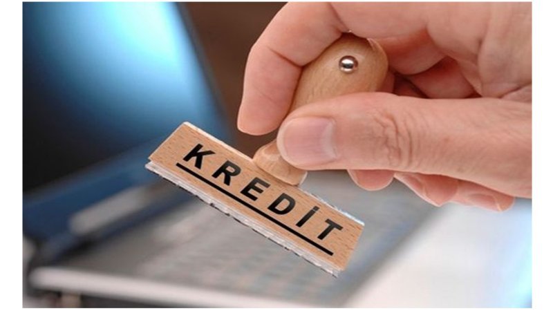 Bu il sahibkarlar 25 milyon manat güzəştli kredit alıb