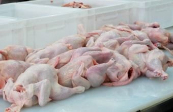 Bu ölkədən gətirilən toyuq məhsulunda uyğunsuzluq aşkarlanıb