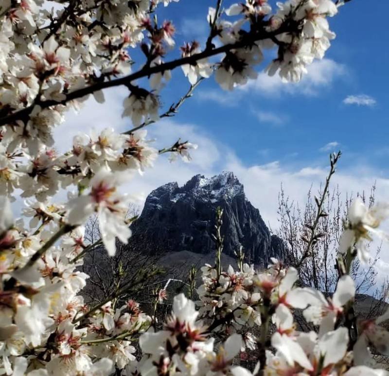Culfada yağış və güclü külək müşahidə olunub