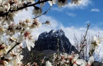 Culfada yağış və güclü külək müşahidə olunub