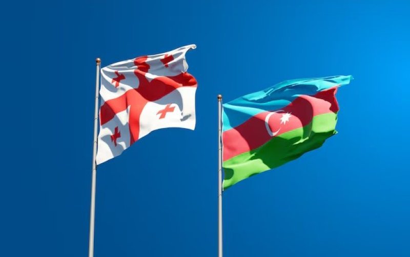 Gürcüstan DTX-nın illik hesabatında Azərbaycan ilə əməkdaşlıqdan da bəhs olunur