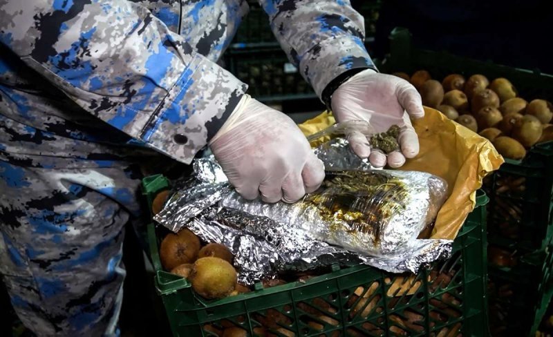 "Kivi" yükü aparan nəqliyyat vasitəsində külli miqdarda narkotik aşkar edilib -