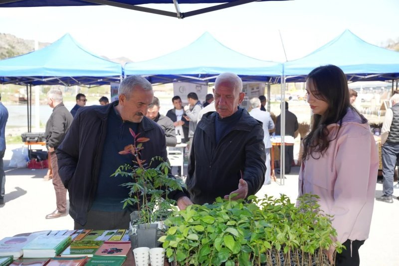 Laçında Aqrar Biznes Festivalı keçirilib