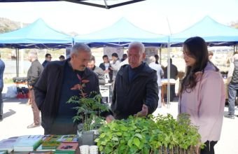 Laçında Aqrar Biznes Festivalı keçirilib