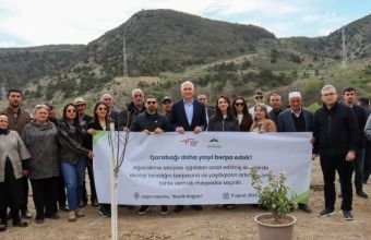 Laçında "Bəylik Bağları" yenidən bərpa olunur
