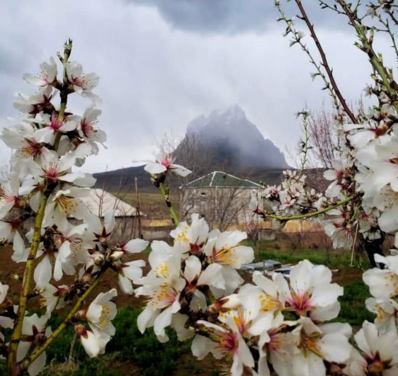 Naxçıvanın rayonlarında müşahidə olunan hava necədir?
