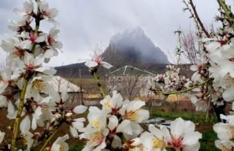 Naxçıvanın rayonlarında müşahidə olunan hava necədir?