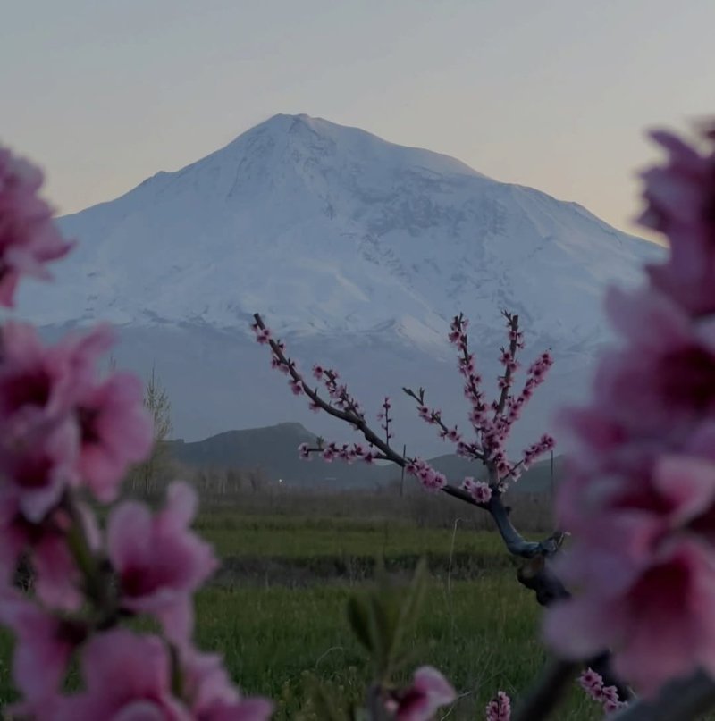 Naxçıvan və rayonlarda küləkli və yağıntılı hava şəraiti müşahidə olunur