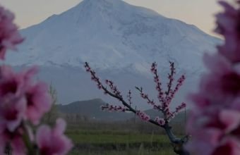 Naxçıvan və rayonlarda küləkli və yağıntılı hava şəraiti müşahidə olunur
