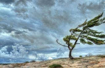 Naxçıvanda güclü küləklə bağlı sarı xəbərdarlıq verildi