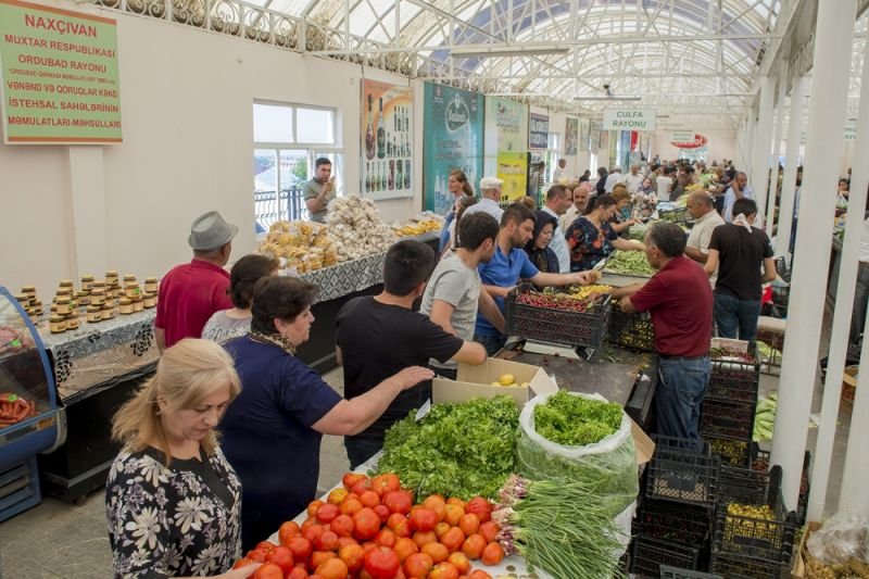 Naxçıvanda kənd təsərrüfatı istehsalı artıb