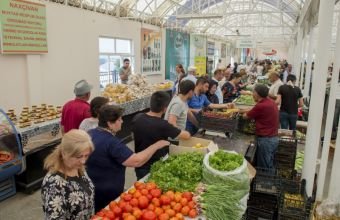 Naxçıvanda kənd təsərrüfatı istehsalı artıb