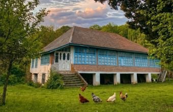 Naxçıvanda küləkli hava gözlənilir