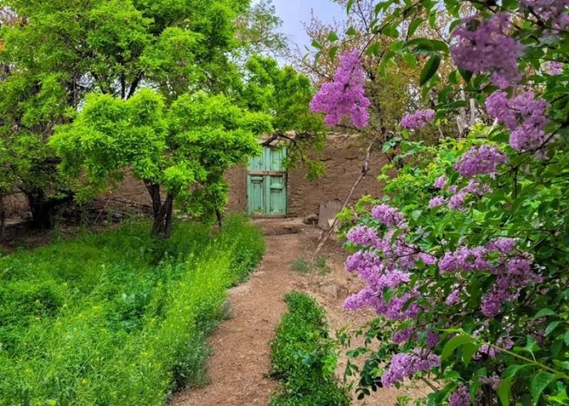 Naxçıvanda may ayında hava necə olacaq?