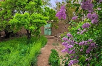 Naxçıvanda may ayında hava necə olacaq?