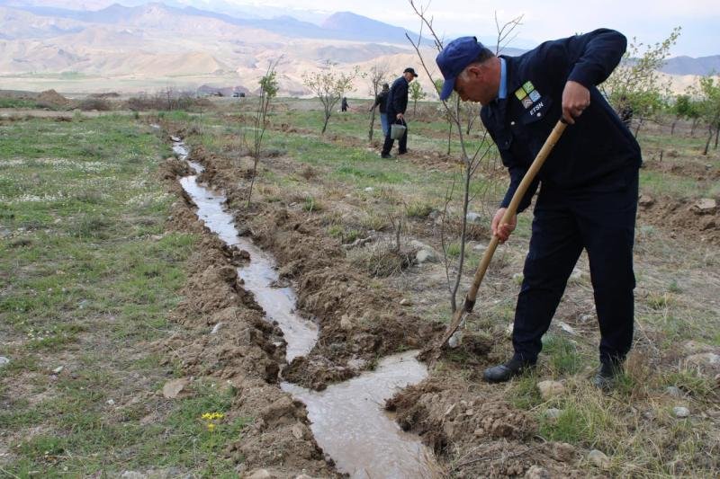 Naxçıvanda yaşıllıq zolaqlarında bərpa və abadlıq işləri aparılıb -