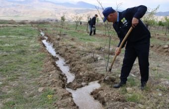Naxçıvanda yaşıllıq zolaqlarında bərpa və abadlıq işləri aparılıb -