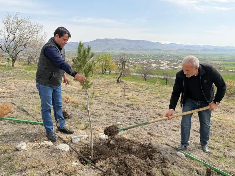 Naxçıvanda yaşıllıqlara aqrotexniki qulluq göstərilib -