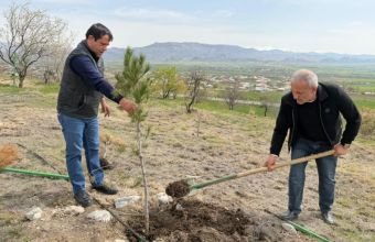 Naxçıvanda yaşıllıqlara aqrotexniki qulluq göstərilib -